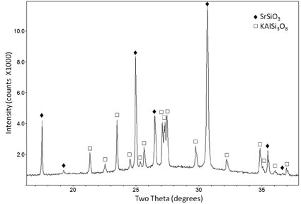 Example of x-ray image for JMR