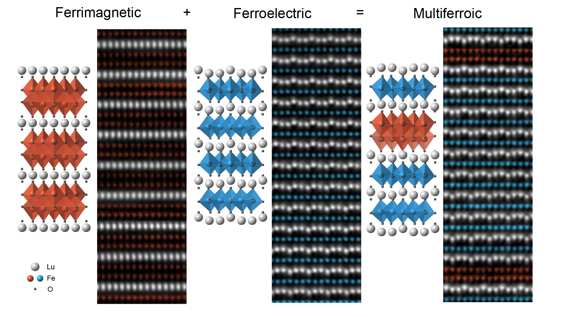 Multiferroic