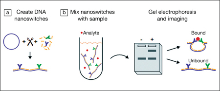 High performing assay