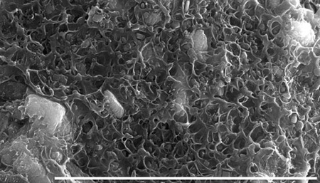 3D-printed polymer-MOF 2v2