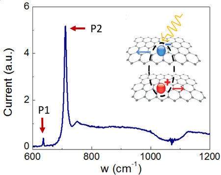 Excitons spotted