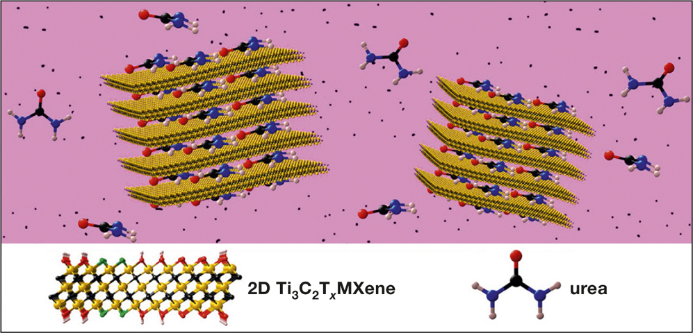 Atomically thin two-dimensional MXenes  - see caption