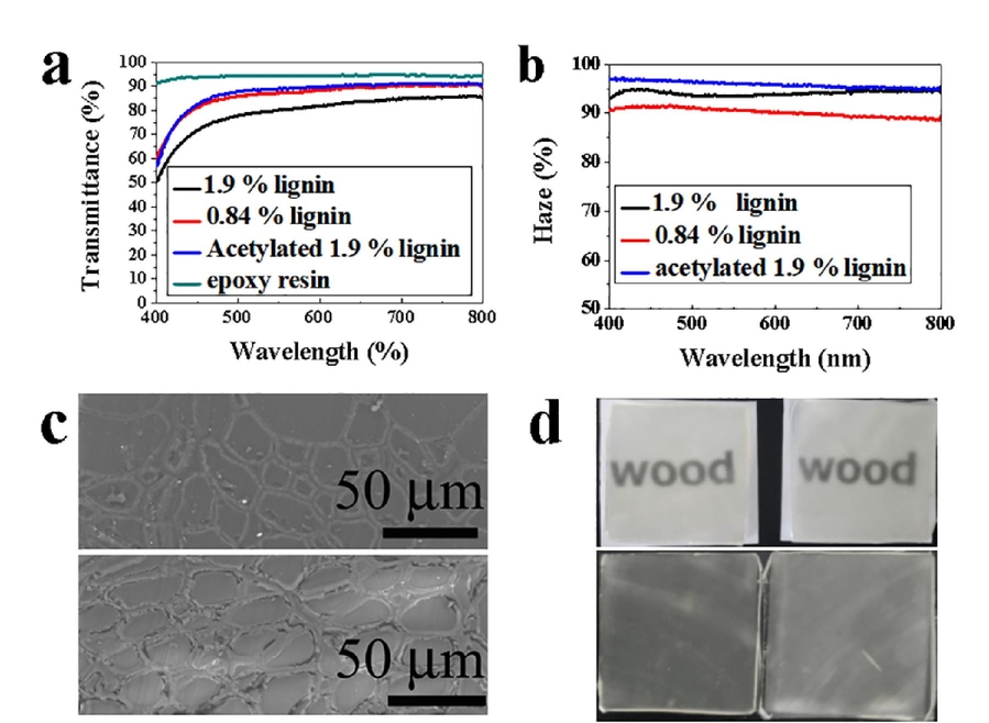 delignified-wood - see caption