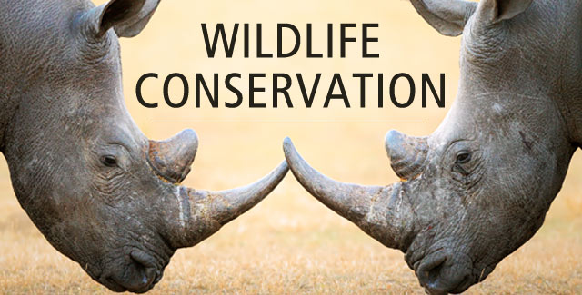 Wildlife Conservation