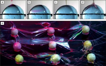 polymer membranes