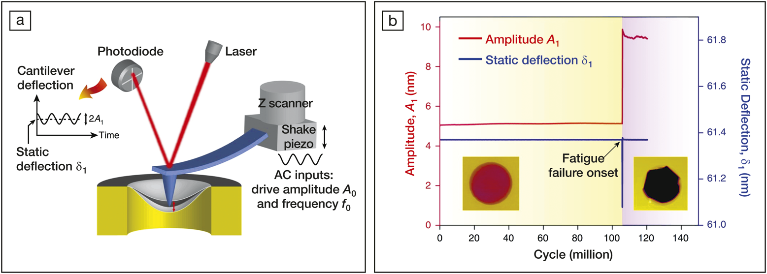 shake piezo