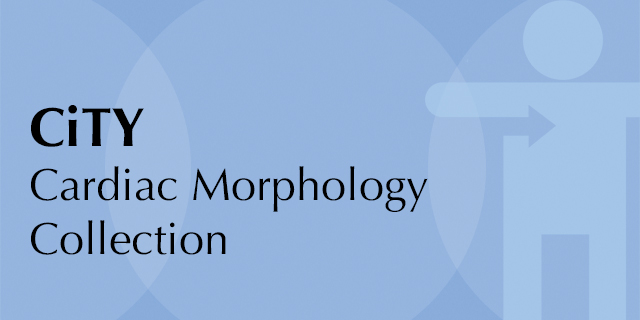 Cardiac Morphology