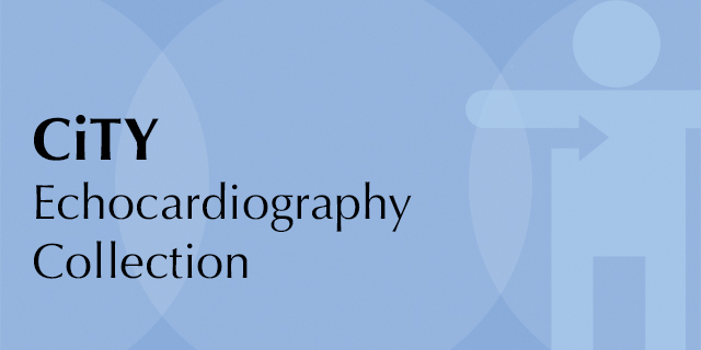 Echocardiography