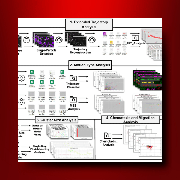 BLG TrackAnalyzer