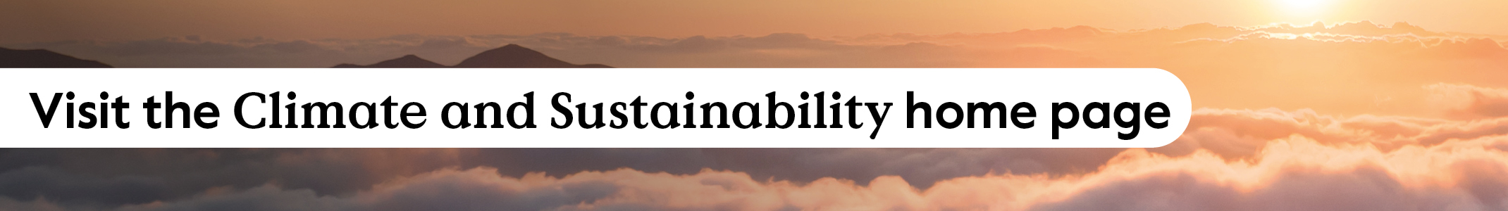 Visit the Climate and Sustainability Homepage