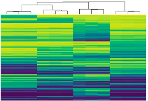 Quantitative Plant Molecular Biology Collection