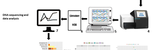 Parasites detected by eDNA and metabarcoding methods