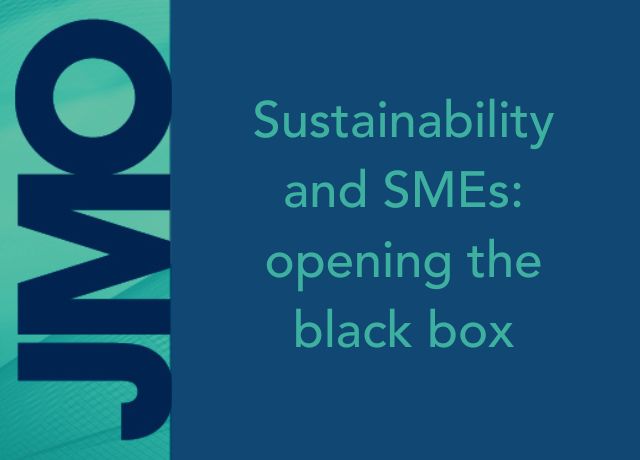 Sustainability and SMEs: opening the black box